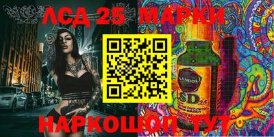 индика Заволжье