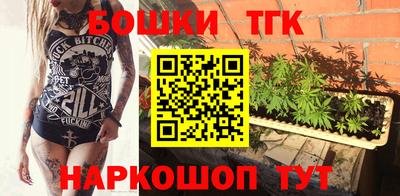 индика Заволжье