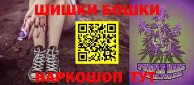 крисы Заводоуковск
