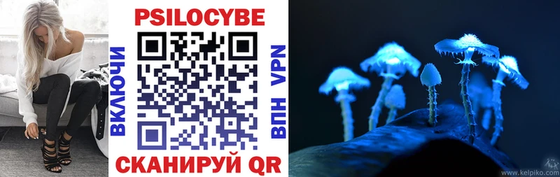 blacksprut tor  купить наркотики цена  Химки  Псилоцибиновые грибы мухоморы 