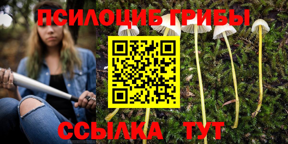 Химки  Псилоцибиновые грибы GOLDEN TEACHER  Вход с VPN  Галлюциногенные грибы ЛСД 