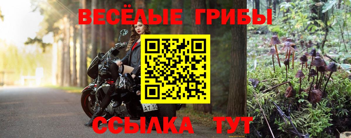 Галлюциногенные грибы Magic Shrooms Химки